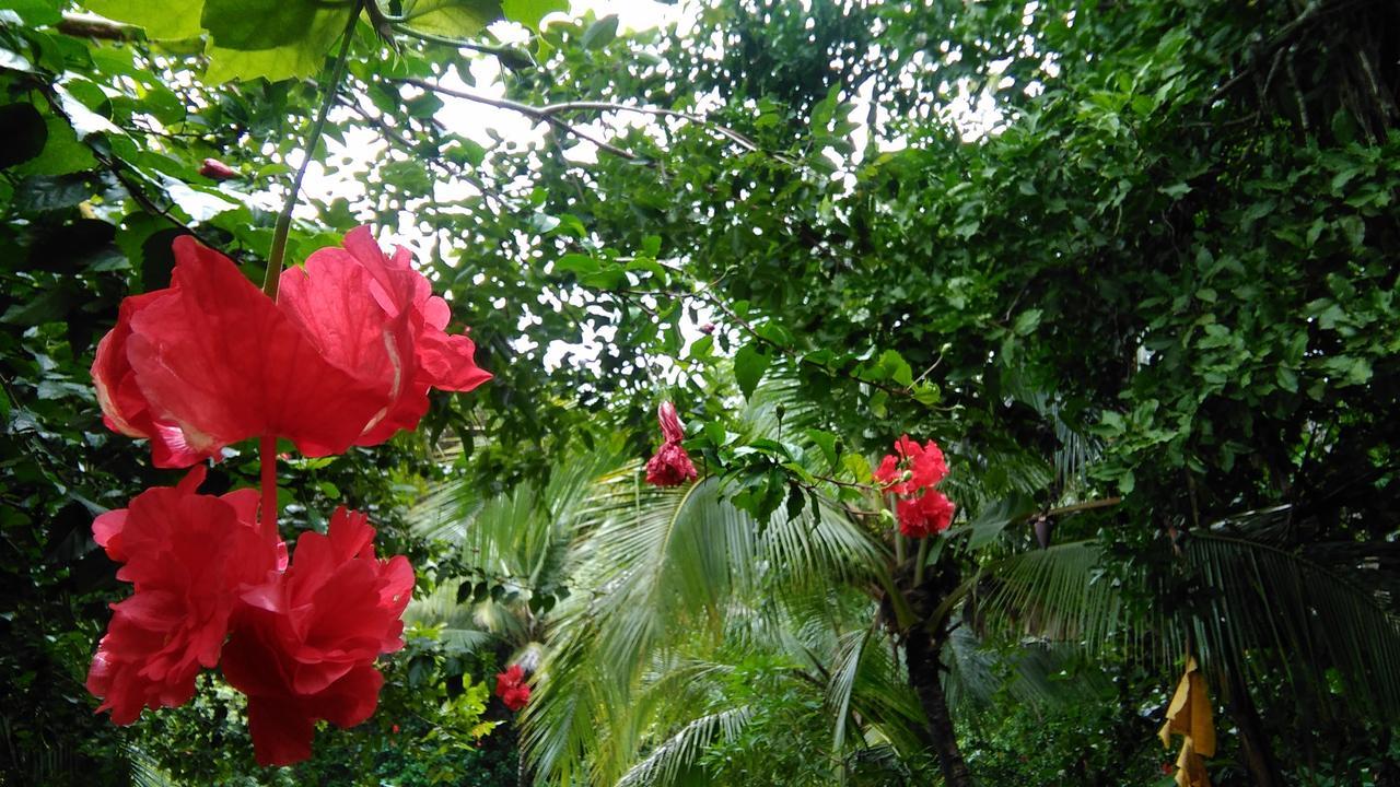 Ecopacific Lodge Santa Teresa Playa Bejuco (Guanacaste) Εξωτερικό φωτογραφία